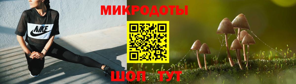 Галлюциногенные грибы Psilocybine cubensis Ревда